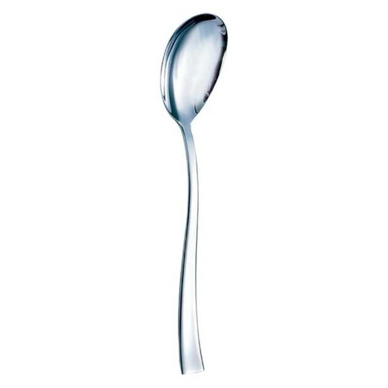 Set of Spoons Arcoroc Alabama (12 pcs)