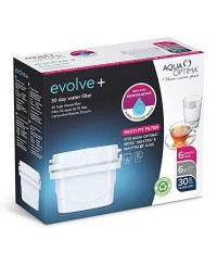 Filtre à Eau Evolve (6 uds)