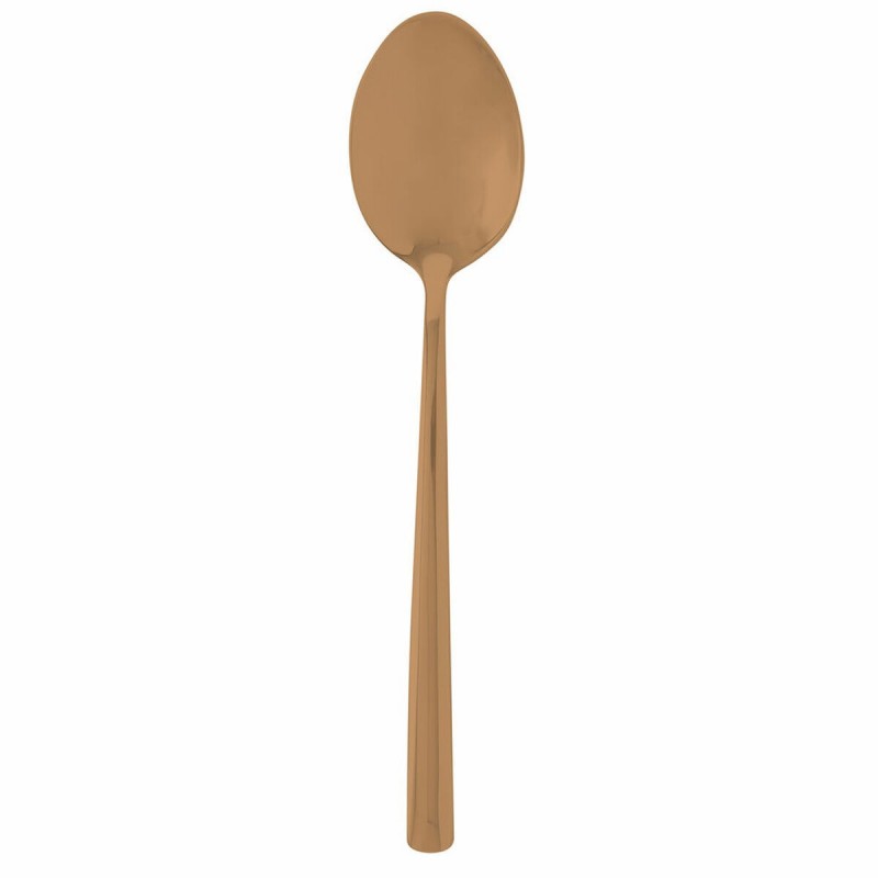 Spoon Bidasoa Ikonic Metal Copper 12...