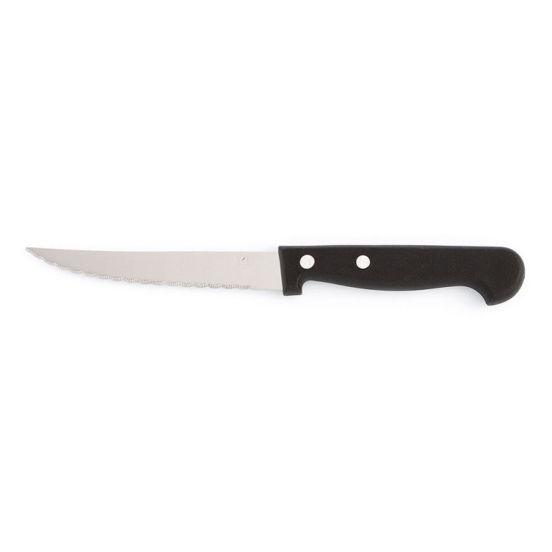 Meat Knife Amefa Metal Bicoloured (21...